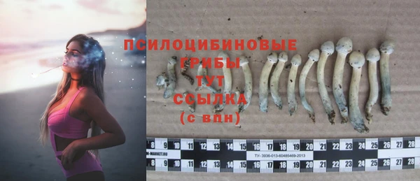 кристаллы Надым